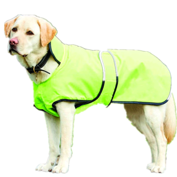 Trusted Top 10 Dog Robes Manufacturers and Suppliers