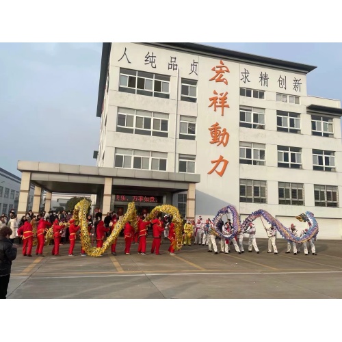 Taizhou Hongxiang Power Company Welcomes the New Year with Dragon Dance and Firecrackers