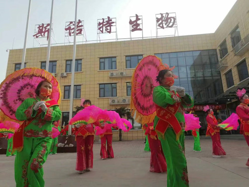 Llevar adelante la cultura tradicional china, desear un mejor desarrollo en el año nuevo