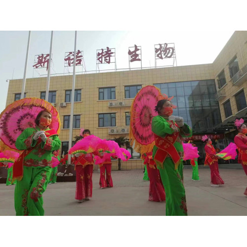 Nggawe budaya Cina tradisional, pengin pangembangan sing luwih apik ing taun anyar