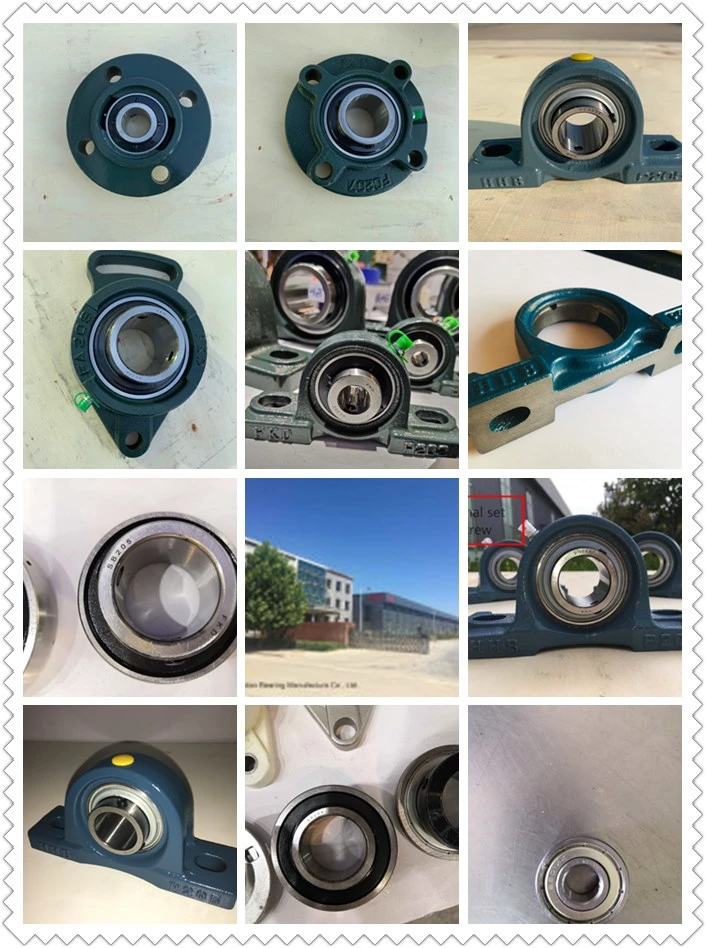 Fkd Spherical Roller Bearings and Pillow Block Bearings (22206, H2313, 30206, UCP205, ucx10)