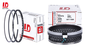 1D Piston Ring Video