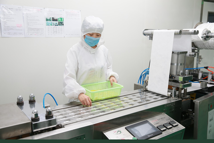 Qingdao DMD Medical Technology Co., LTD 