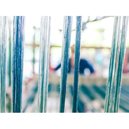 นวัตกรรมทางเทคโนโลยีและการเปลี่ยนผ่านที่เป็นมิตรต่อสิ่งแวดล้อมขับเคลื่อนอุตสาหกรรมเส้นใยเคมีทั่วโลกในปี 2569