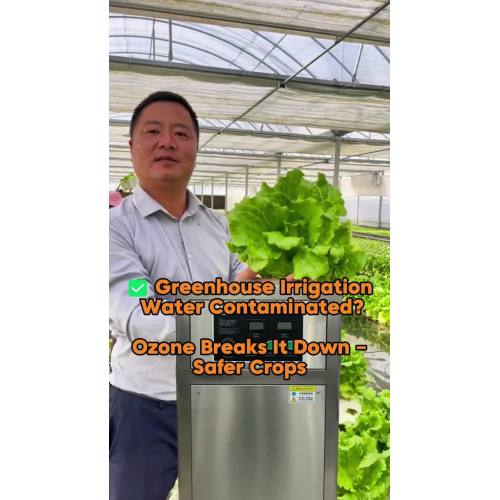 Générateur d'ozone 50A pour l'irrigation des serres - Traitement de l'eau sans produits chimiques