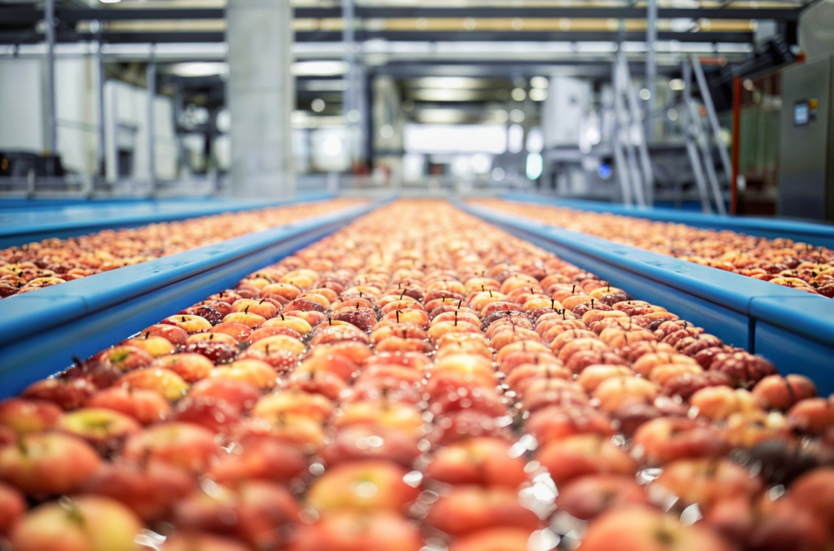 Food Processing Wastewater Treatment