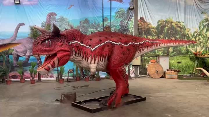 Niulong Video