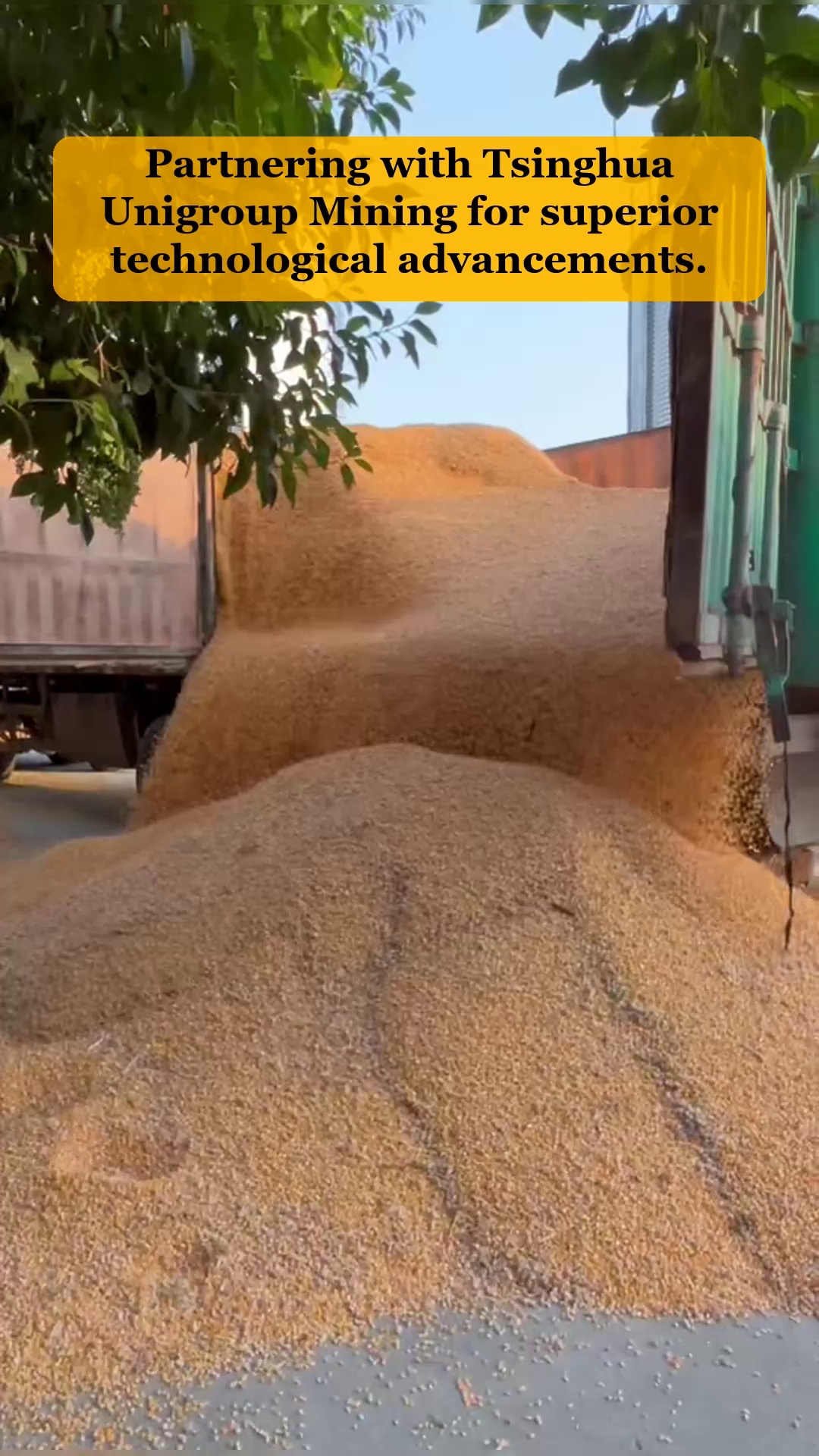 Vidéo 23