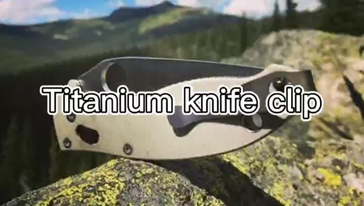 Titanium pocket clip