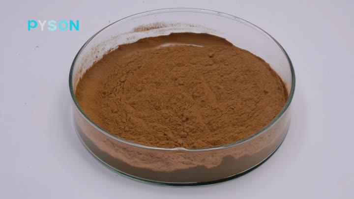 Phellinus Igniarius Extract 50% 