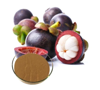 Mangosteen Extract Fine Powder mangosteen fruit benefits