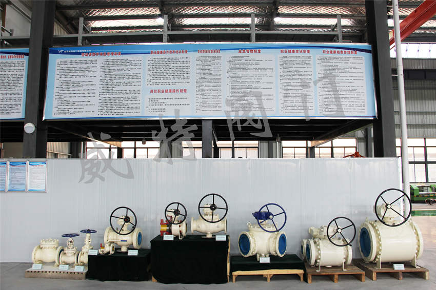 Valves Display Area