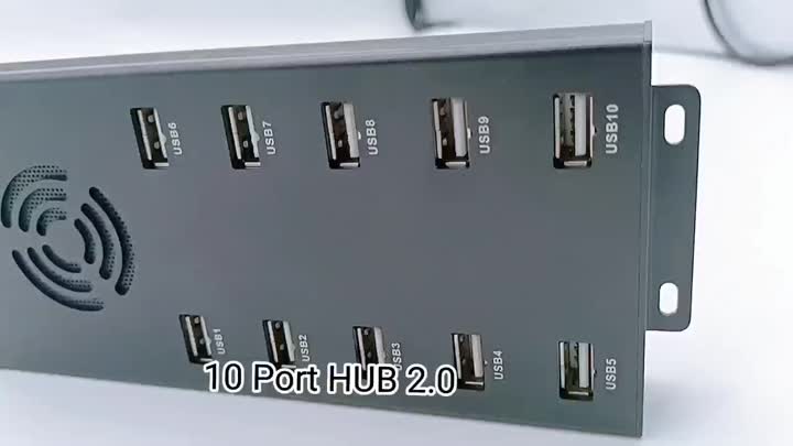 10 Port Hub 2.0