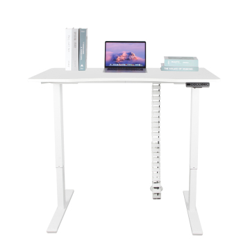 sit stand desk