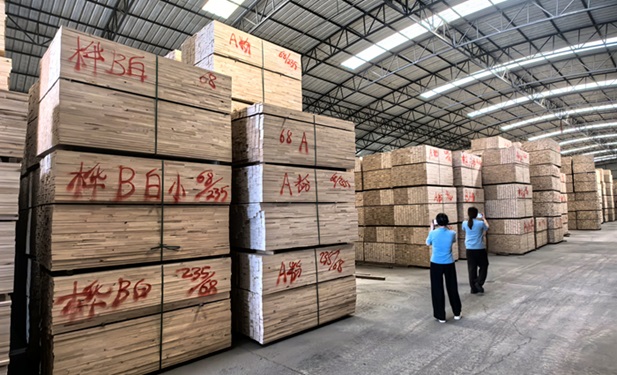 Jiangsu Ruidong Sports Technology Co., Ltd