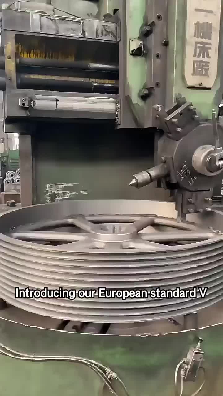 v belt pulley SPA