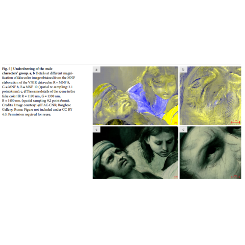 高光譜成像：解鎖文藝復興傑作「隱形密碼」的無損檢測工具