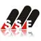 Sunny Steel Co., Ltd.