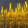Outdoor Simulation LED Light for Backyard, Factory, and Landscape Decoration1