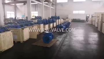 RSF VALVE_Water Valve Factory