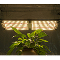 EU Stock: Samsung LM301H UV IR 660nm Red 240W Kingbright 288 Boards LED Grow Light1
