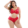 Plus Size XL Lace Lingerie Sets for Large Breasts and Curvy Figures1