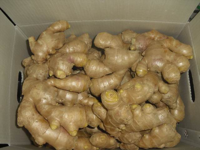 AIR DRIED GINGER PACKING 