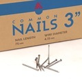 Factory Price 4-inch Polished Common Wire Iron Nails for Wood and Building Construction1