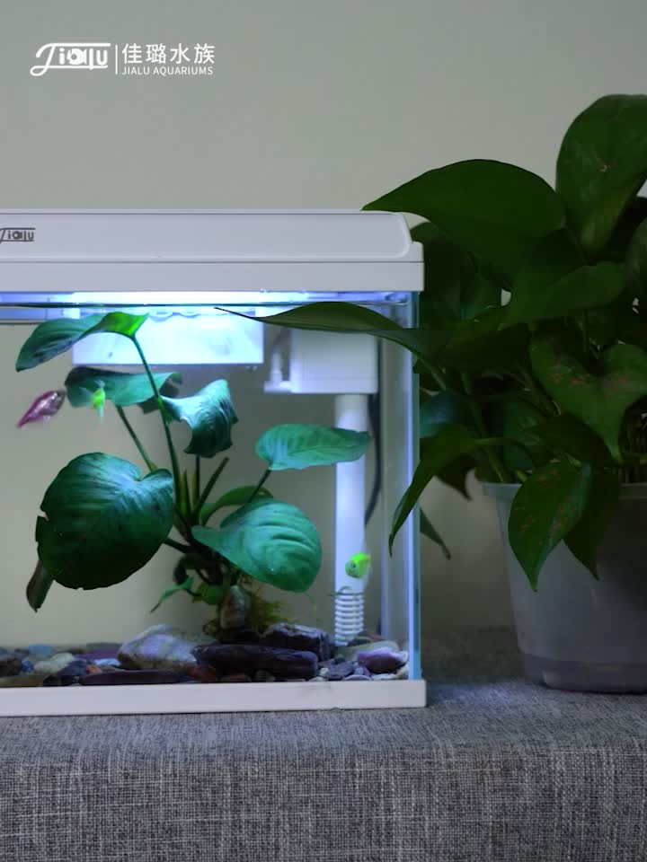 JE-250 DESKTOP ORNAMENTAL FISH AQUARIUM