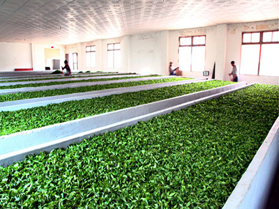 JOY TEA CO., LTD.