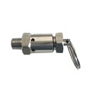 Stainless Steel 1/4 NPT Pressure Steam Safety Valve 3 Bar1