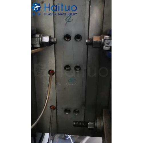 Koob Haituo-240221