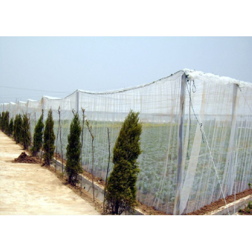 La fonction du filet d'insecte agricole