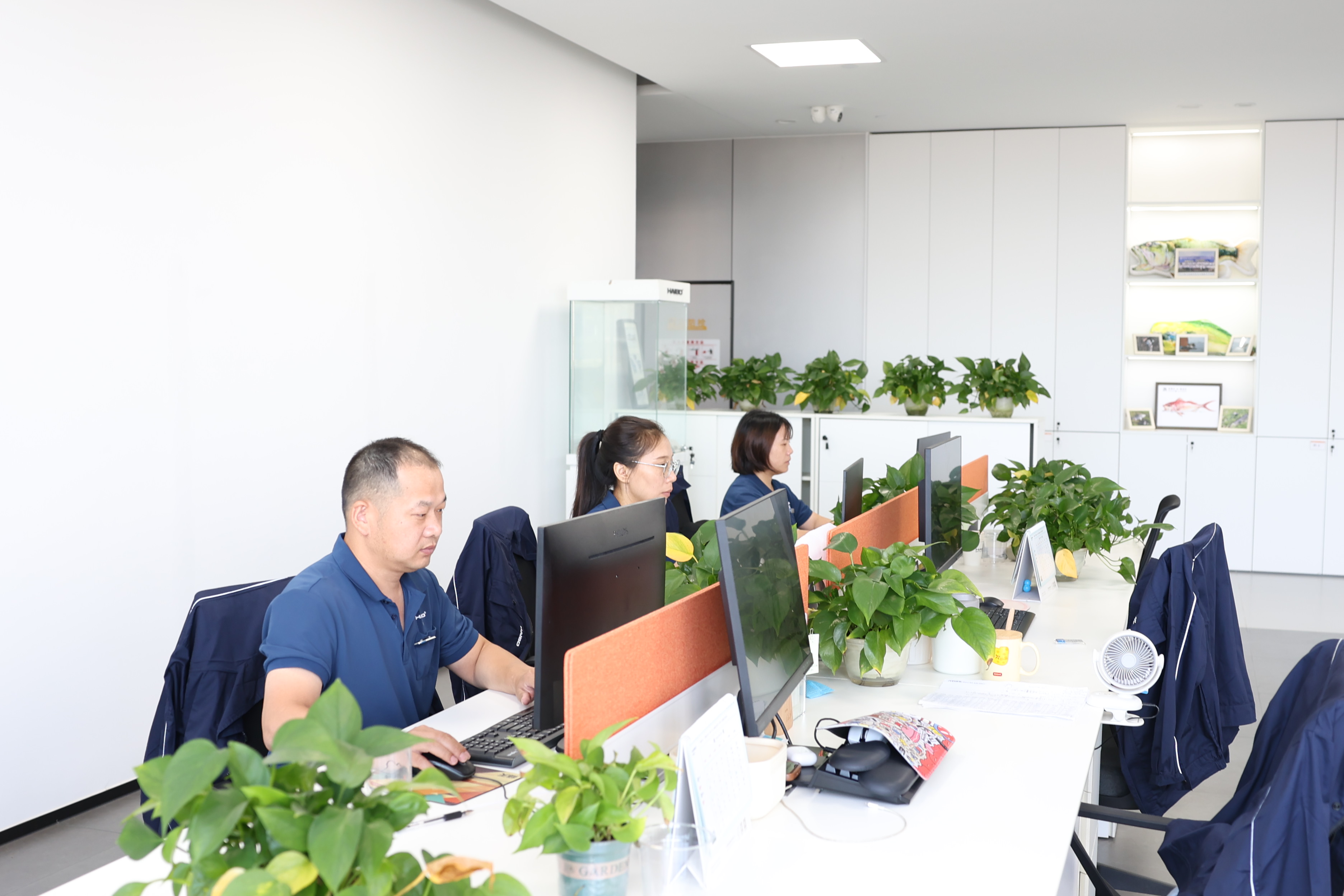 Haibo International Trade Co., Ltd.