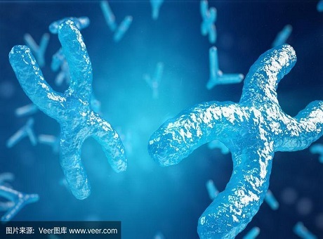 Grande ingegneria scientifica