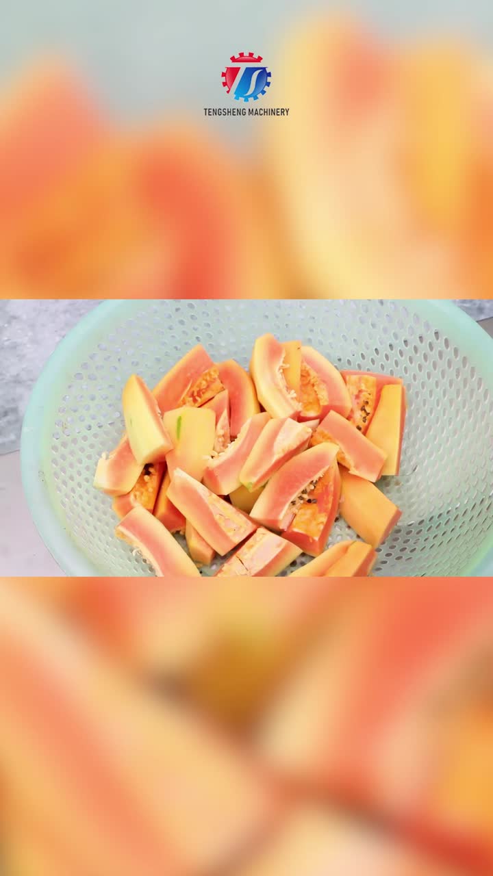 TS-X200: Lavadora de frutas ideal para mamão!