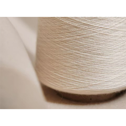 वैश्विक नायलॉन 6 ट्विस्टेड यार्न उद्योग 2026 में सतत नवाचार और विविध मांग के साथ गतिशील रूप से बढ़ता है