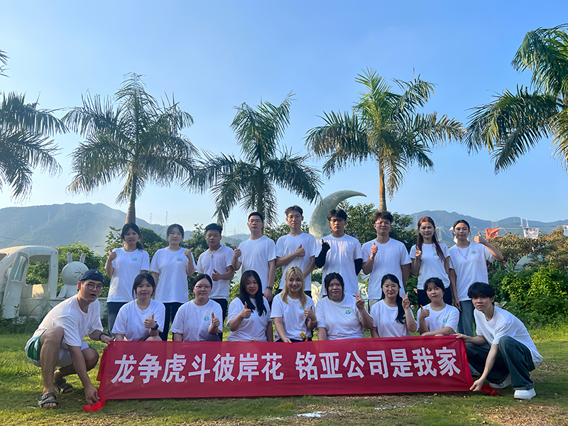 Team