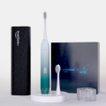 IPX 8 Smart Lock Pressure Sensor Electric Toothbrush with Touch Induction and Travel Case1