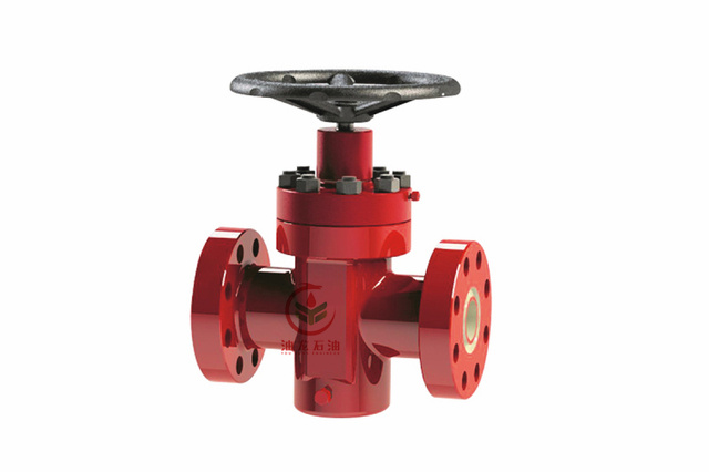 Gate Valve1