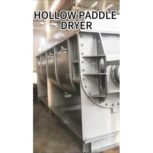 paddle dryer