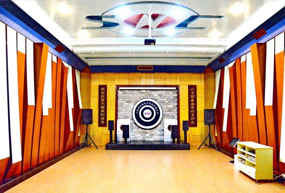 Ningbo Sonice Electroacoustic Science and Technology Co., Ltd.