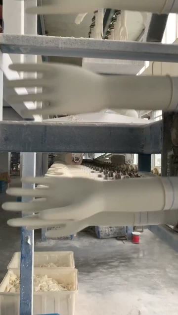 Surgical Gloves