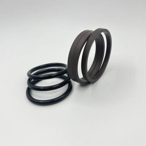 Sceau spécial pour SPGO Piston Seal66