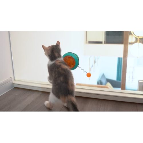 jouets pour chat gyro drôle