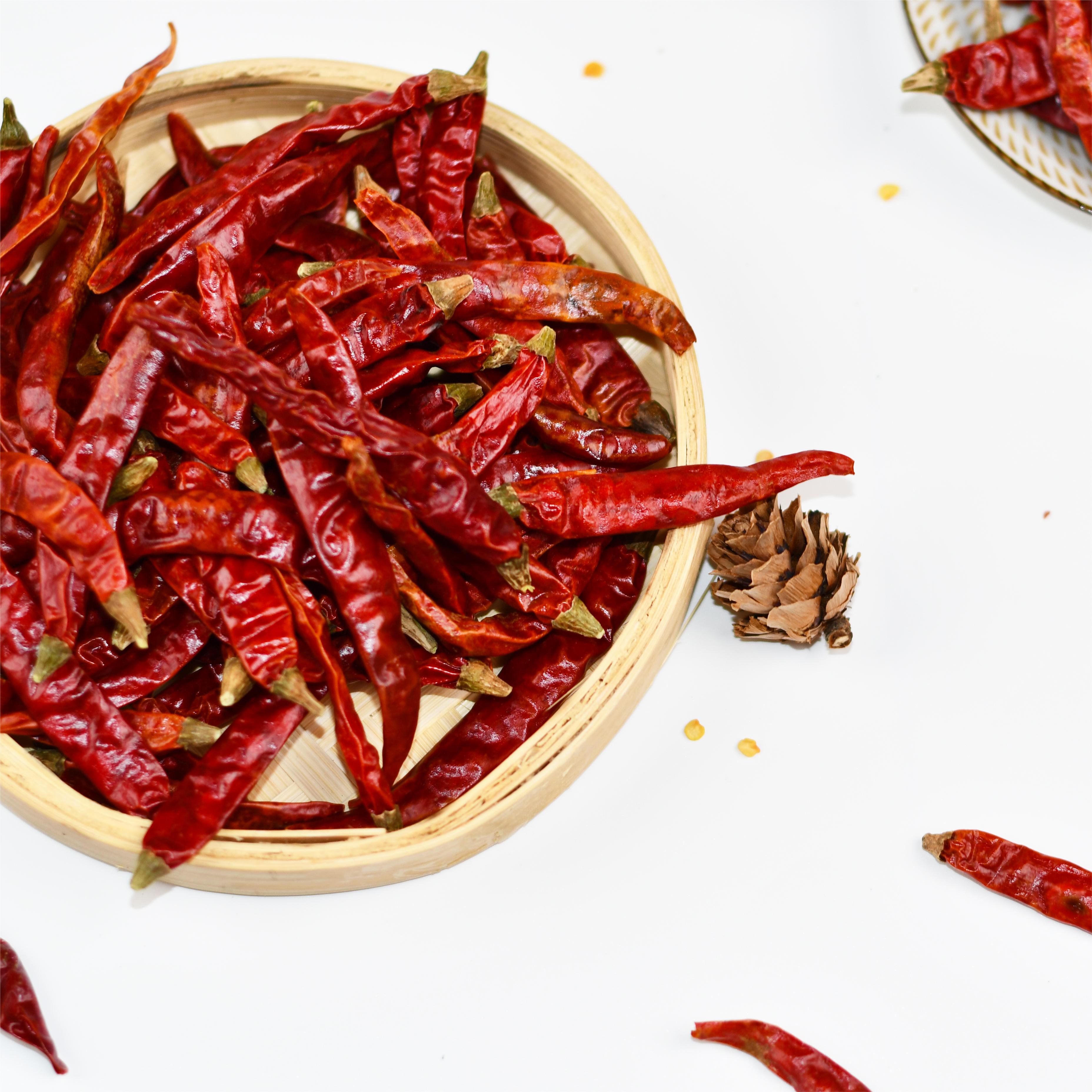 Bhut Jolokia Dried chilli