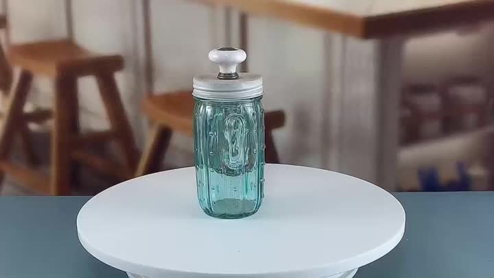 Glas Cactus Mason Jar mit Deckel und Stroh