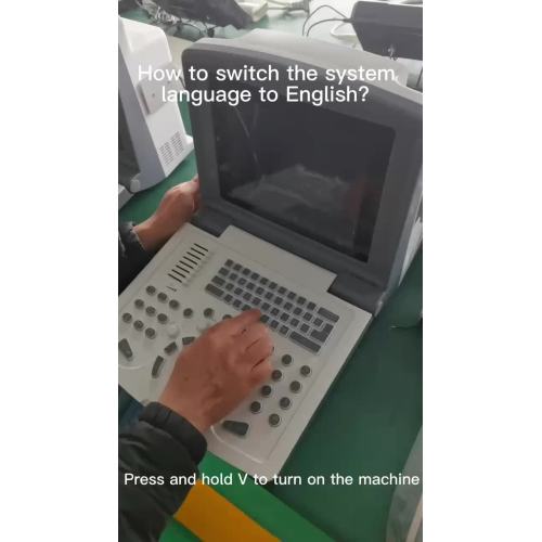 how to switch system language into English