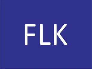 Ningbo FLK Technology Co., Ltd.