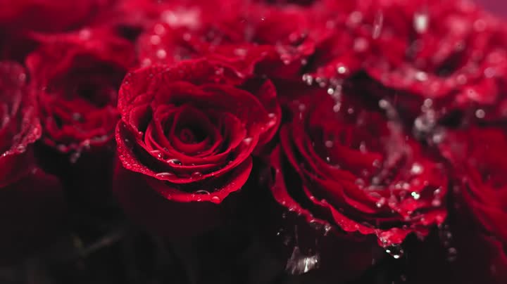 Glossy Foil Nail Wraps for Stylish Nail Art Decorations